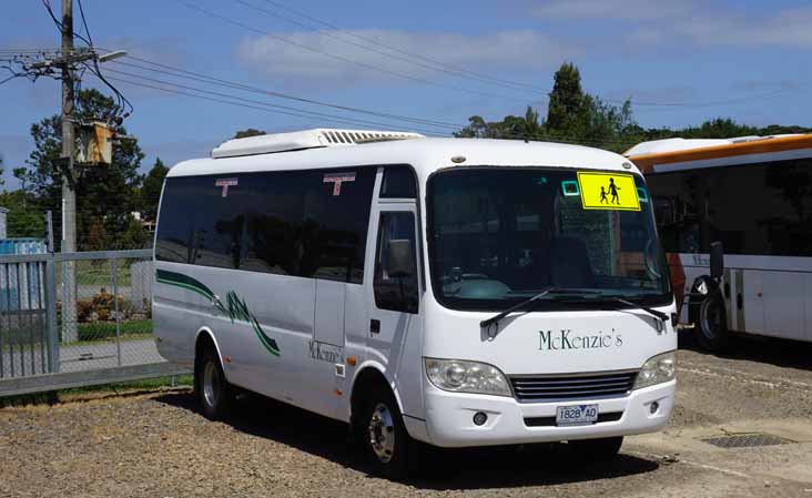 McKenzies Higer Munro 28